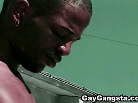 Ebony Cock Enters Gangsters Taut Donk